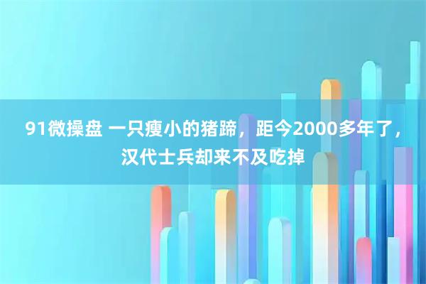 91微操盘 一只瘦小的猪蹄，距今2000多年了，汉代士兵却来不及吃掉