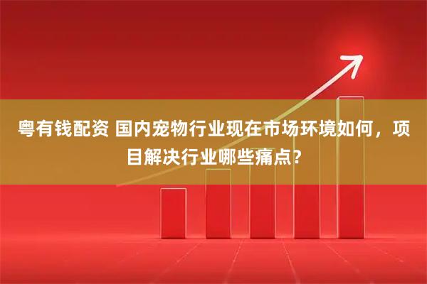 粤有钱配资 国内宠物行业现在市场环境如何，项目解决行业哪些痛点？